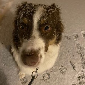 Meet your Posher, Avery
